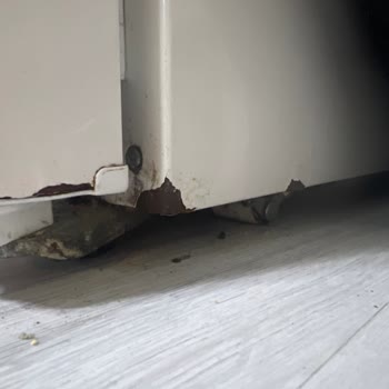 Garanti Altındaki Buzdolabımda Kapak Ve Gövde Paslanması İçin Ücretsiz Onarım Talebi