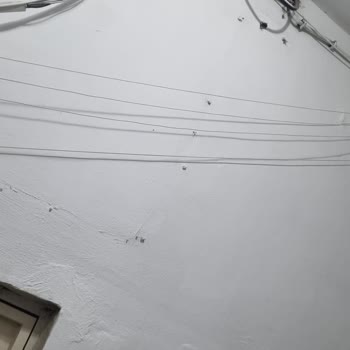 Kablo Net Çekilen Kablo Hatları Apartman İçinde Son Derece Düzensiz Bırakılmış