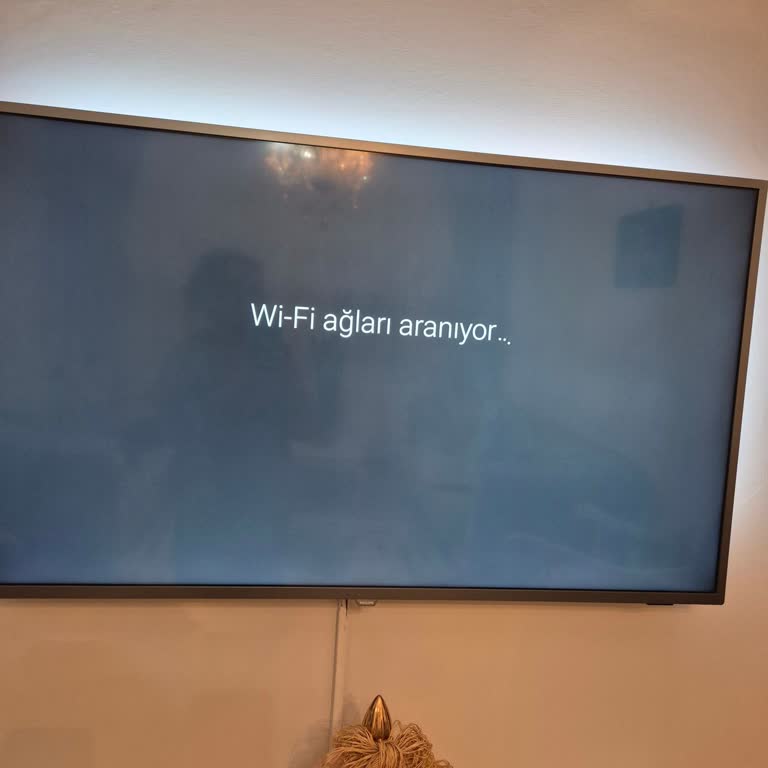 Philips Televizyonumda Aniden Sinyal Ve İnternet Bağlantısı Kesildi