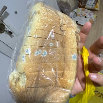 Küflü Ekmek, Yırtık Un Ve Müşteri Hizmetleri Yanıtsızlığı