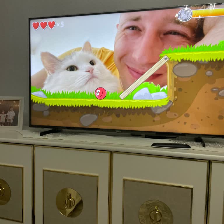 Red Ball Oyununda Alakasız Görsel Mahremiyet İhlali Şikayeti