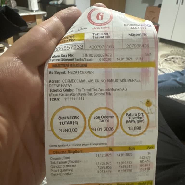 Fahiş Elektrik Faturaları İçin Acil İnceleme Ve Düzeltme Talebi