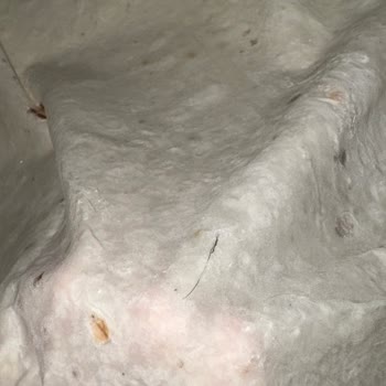 İstiklal Caddesi BİM Şubesinde Yufkada Saç Teli Ve Hamur Parçalanması