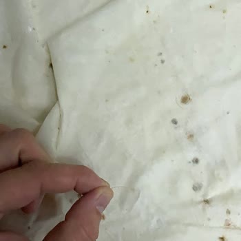 İstiklal Caddesi BİM Şubesinde Yufkada Saç Teli Ve Hamur Parçalanması