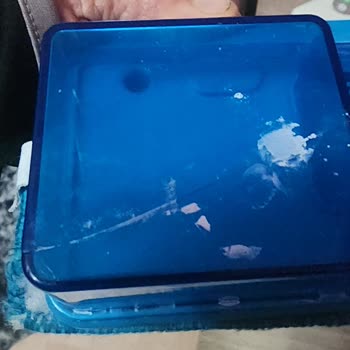 Philips Dikey Süpürge Bağlantı Noktası Ve Silme Aparatı Kırıldı, Garanti Onarımı Talebi