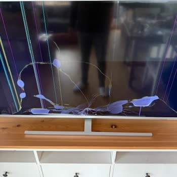 Preisexplosion, extreme Verzögerung und massive Schäden beim Umzug mit Ekşioğlu Lojistik