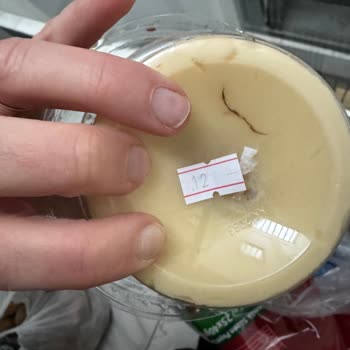 Şekerci Cafer Erol'da Hijyen Sorunu