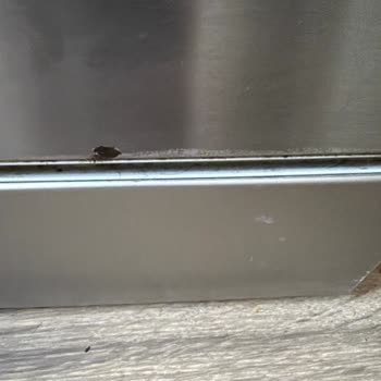 Kronik Arıza Ve Aşırı Ücret Talebiyle Ürün Değişimi İstemi