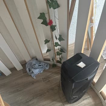 Three White Bungalov Şikayeti