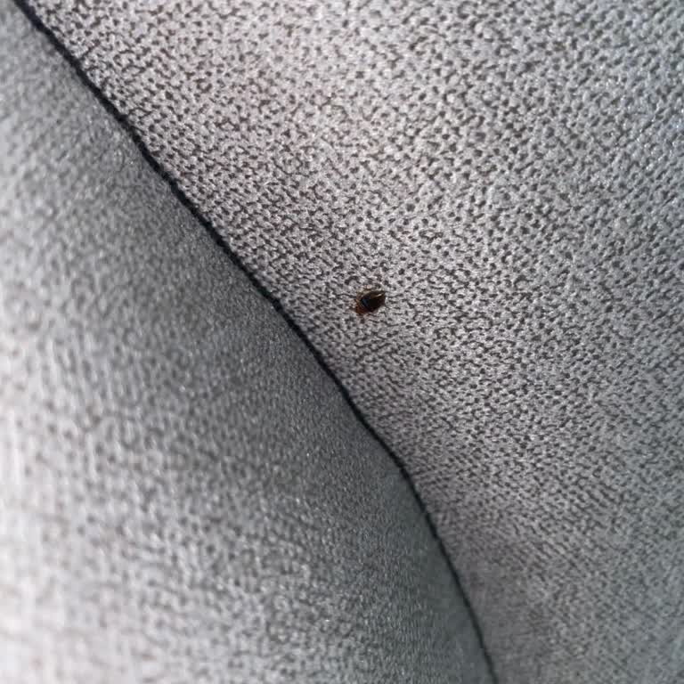 Ayıplı Mobilya Satın Alımında Tazminat Talebi