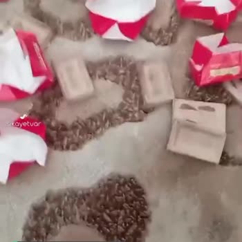 Ülker Sütlü Çikolata Bozuk Çıktı İki Paket