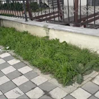 Aras Kargo Kuzey Marmara Şubesi Kargo Teslim Etmiyor