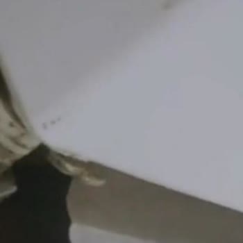 Vestfrost Buzdolabında Sürekli Yağlı Akıntı Ve Servis Reddine Karşı Ürün Değişimi Talebi