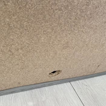 Kırık Ve Yırtık Koltuk İçin Cevapsız Müşteri Hizmetlerinden Değişim Talebi