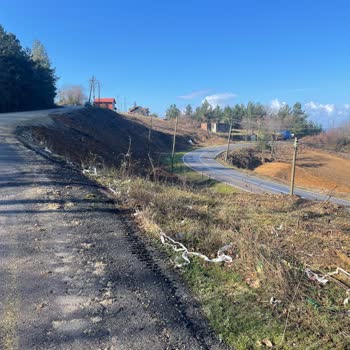 Bartın’da Tarım Arazimdeki Direklerin Kaldırılmaması Ve Cevapsız Başvurular