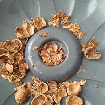 Migros Sanal Market’te Çürük Ve Boş Ceviz Teslimatı, İade Ve Yanıt Yok