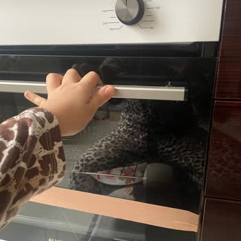 Fırın Kapak Parçasının Kırılması Ve Ücretsiz Onarım Talebi