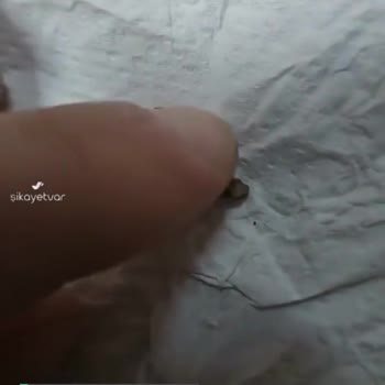 Burger Yiyelim Klasik Hamburgerin İçinden Taş Çıktı!
