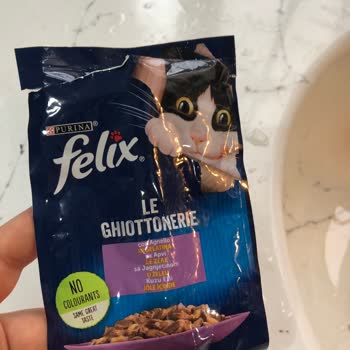 Felix Kedi Yaş Maması Bozuk, Uzun Süre Cevap Almıyorum