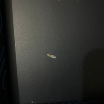 Liva Çikolatasında Şeffaf Yabancı Parça Ve Deforme Görünüm