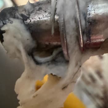 Schafer Pro Chef XL Makinesinde Aparat Bağlantı Bölümünden Siyah Madde Kaçması ve Sağlık Riski