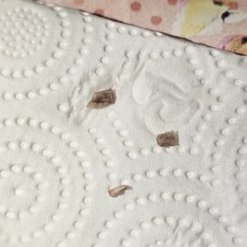 Fındık Kremalı Gofretten Yabancı Madde Çıktı, Güvenim Sarsıldı