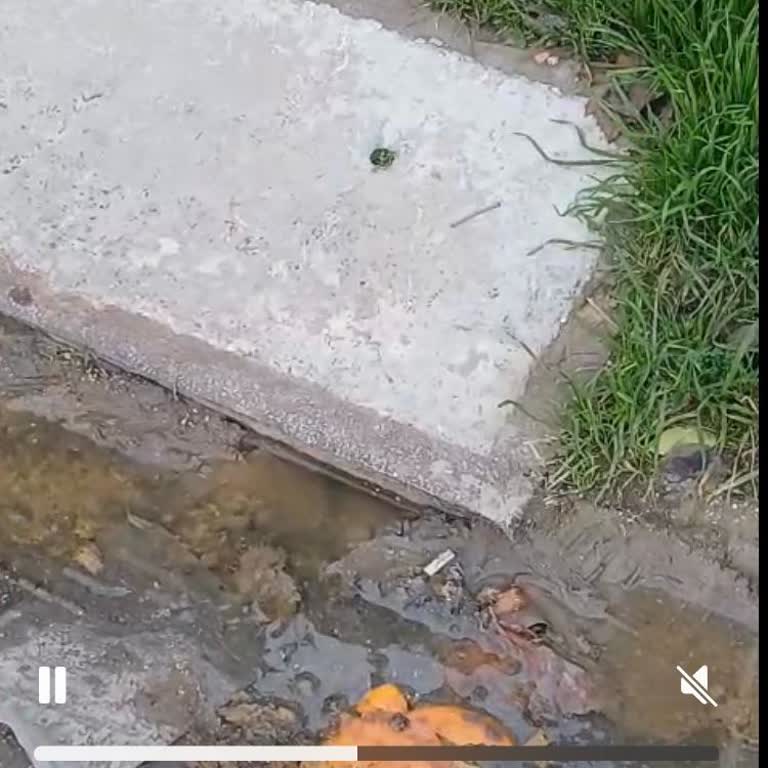 MUSKİ Müdahalesizliği: Bahar Sokakta Kanalizasyon Taşması Ve Sağlık Riski