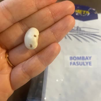 Bombay Fasulyesinde Böcek Bulunması Ve Geri Ödeme Talebi