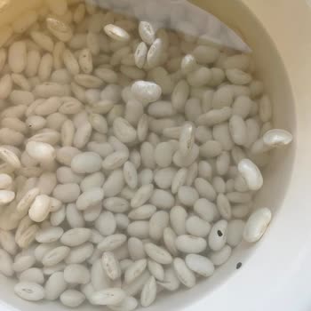 Bombay Fasulyesinde Böcek Bulunması Ve Geri Ödeme Talebi