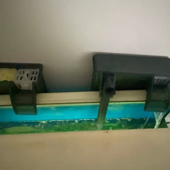 Trendyol'dan Ayıplı Akvaryum Motoru İçin İade Reddi Ve Müşteri Hizmetleri İlgisizliği