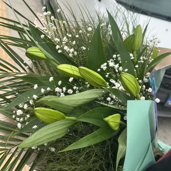 Hızlı Çiçek Şikayeti