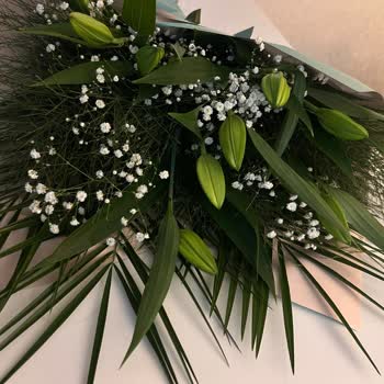 Hızlı Çiçek Şikayeti