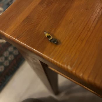 City Gross Markette Çekirdek İçinde Arı Bulunması Hijyen Ve Sağlık Endişesi