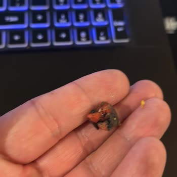 A101 Şubesinde Çerezya Soslu Mısırda Sert Plastik Parça Ve Sağlık Riski