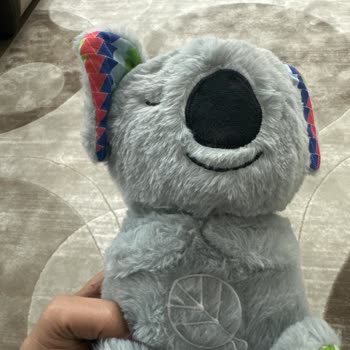 Yanlış Ve Eksik Gelen Oyuncaklar İçin Tam İade Talebi