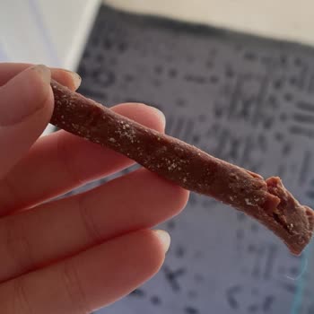 Kedimde Zehirli Ödül Maması Ve Duyarsız Petshop Tavrı