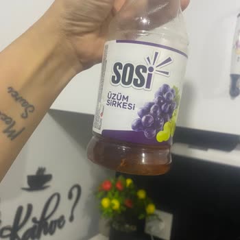 Sosi Sirkenin İçinden Çıkan Madde