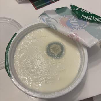 Küflü Yoğurt Bebeğim İçin Sağlık Endişesi Ve Mağduriyet