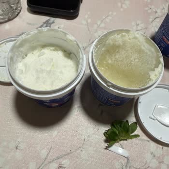 Atatürk Orman Çiftliği Bozulmuş Dondurma ve Kötü Koku