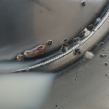 Şok Market'ten Alınan Sütte Siyah Parçacıklar Görüldü