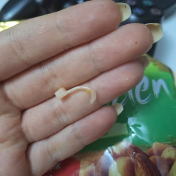 Peyman Bahçeden Kuru Yemiş Paketi İçinde Plastik Kanca Bulunması