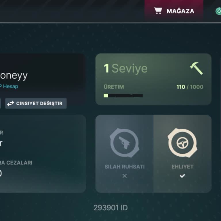 RP Grand Mobil Oyununda Mailime Bağlı Hesabım Kayboldu