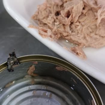 BİM Derya Ton Balığında Yabancı Cisim: Sağlık Endişesi