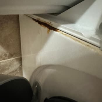 Siemens IQ500 Çamaşır Makinesinde Erken Deterjan Kapağı Çürümesi