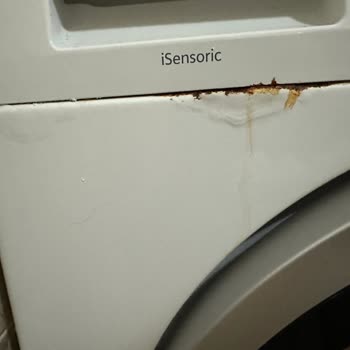 Siemens IQ500 Çamaşır Makinesinde Erken Deterjan Kapağı Çürümesi