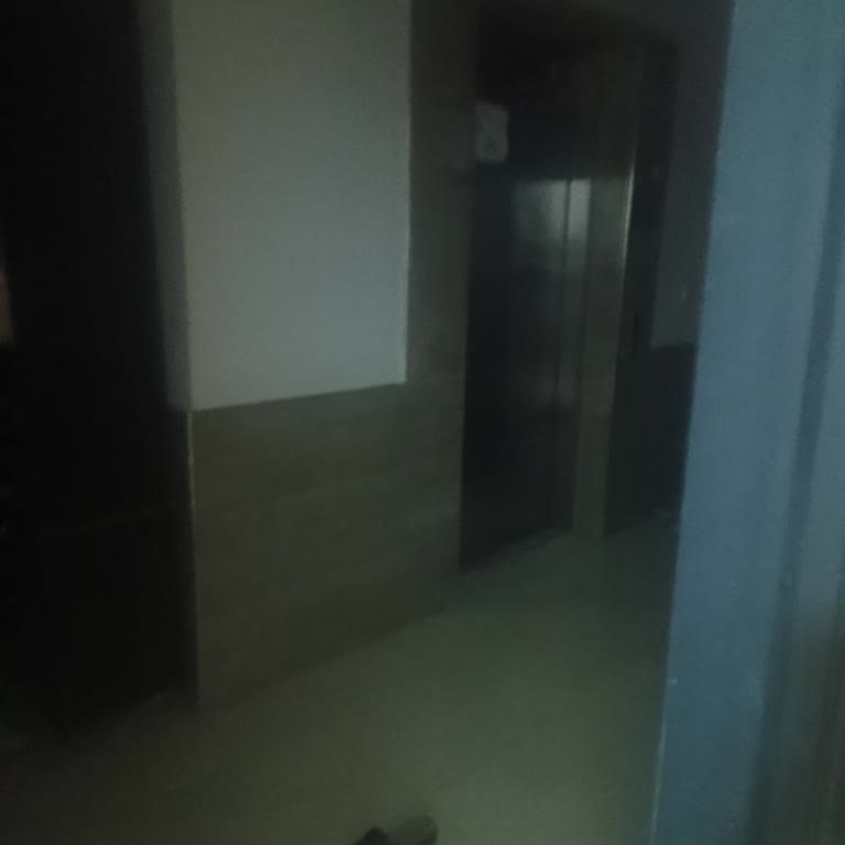 Mesir Asansör Asansör Şaftında Su Birikmesi Ve Tekrarlayan Arızalar