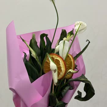 Görsel Onay Almadan Ölü Spathiphyllum Gönderildi