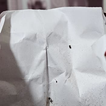 Şok Market ’ten Alınan Çaykur Tiryaki Çay Paketi İçinde Kurt