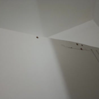 İstikbal Briella Modelinde Kırık Alt Tablası ve Uzun Süreli Montaj Bekleyişi