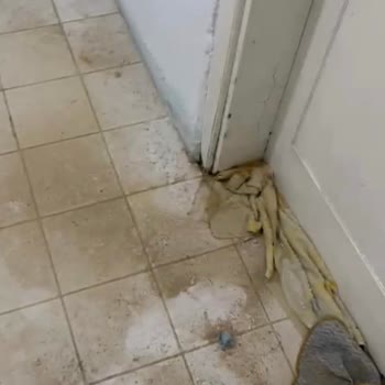 İki Aylık Su Sorunu Ve Cevapsızlık Nedeniyle Evde Büyük Hasar